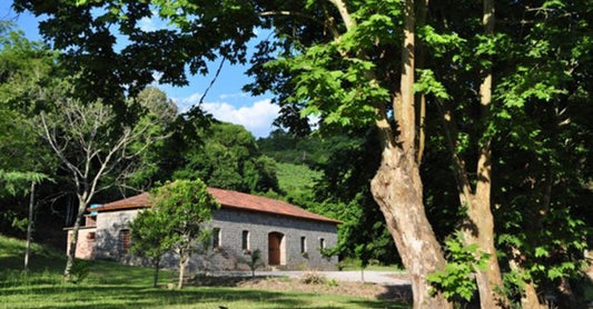 CASA PEDRUCCI – PAIXÃO E ARTE VINÍCOLA